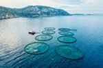 Aquaculture