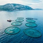 Aquaculture