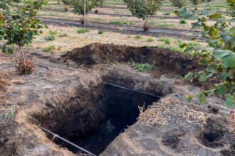 Irrigation Souterraine