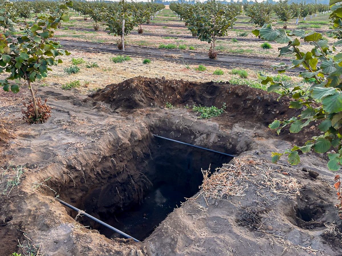 Irrigation Souterraine