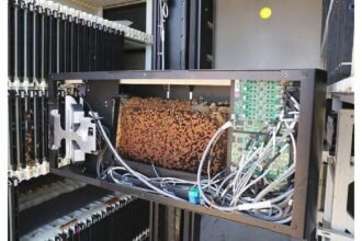 Les Ruches Robotiques