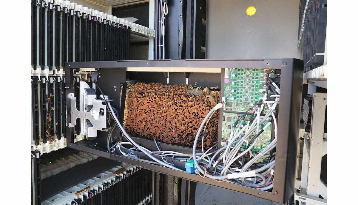 Les Ruches Robotiques