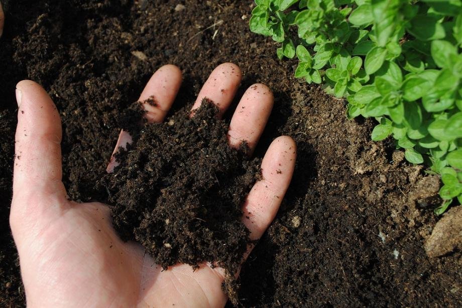 🌿 Amendements organiques : Compost, digestats et biofertilisants pour restaurer la santé des sols