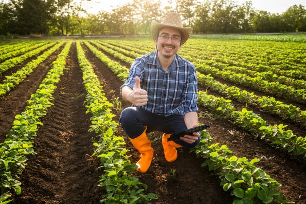 Pratiques agricoles durables pour la post-récolte