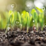 Technologies de jumeaux numériques pour l'agriculture