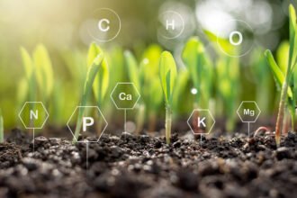 Technologies de jumeaux numériques pour l'agriculture