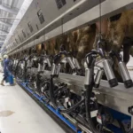 Automatisation de la gestion des élevages bovins