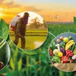 Biopesticides et protection biologique : Une solution durable pour l'agriculture