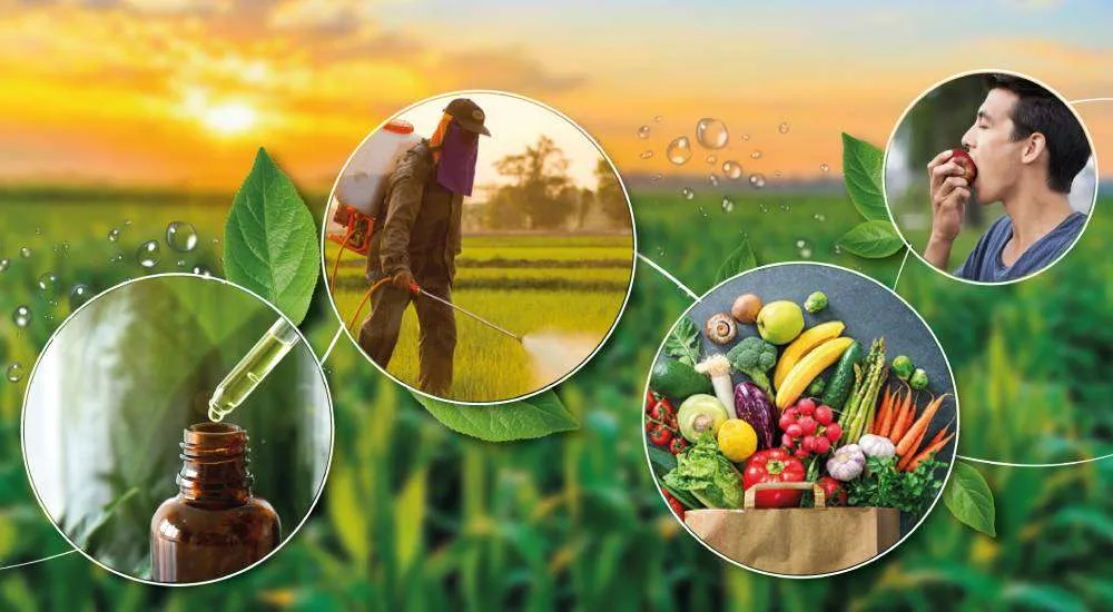 Biopesticides et protection biologique : Une solution durable pour l'agriculture