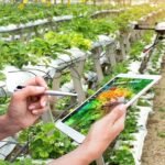 Agriculture de Précision