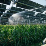 Irrigation