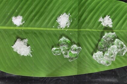Hydrogel pour la Rétention d'Eau