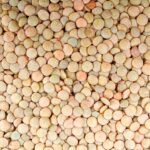 Lentils