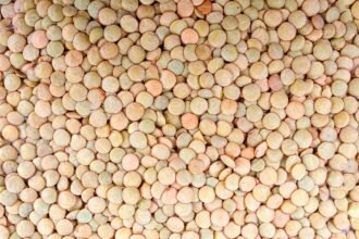 Lentils