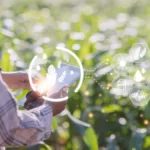 Irrigation Intelligente