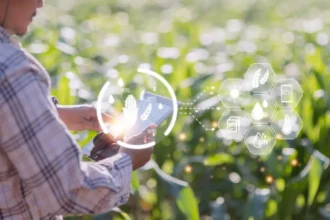 Irrigation Intelligente