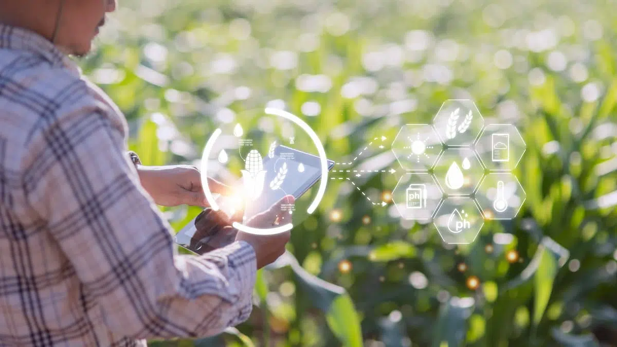 Irrigation Intelligente