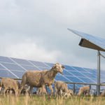 Agrivoltaïsme