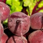 Betterave (sucrière