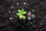 Biofertilisants