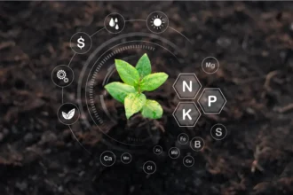 Biofertilisants