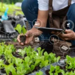 Télédétection et Analyse des Sols
