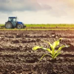 Agriculture
