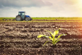 Agriculture