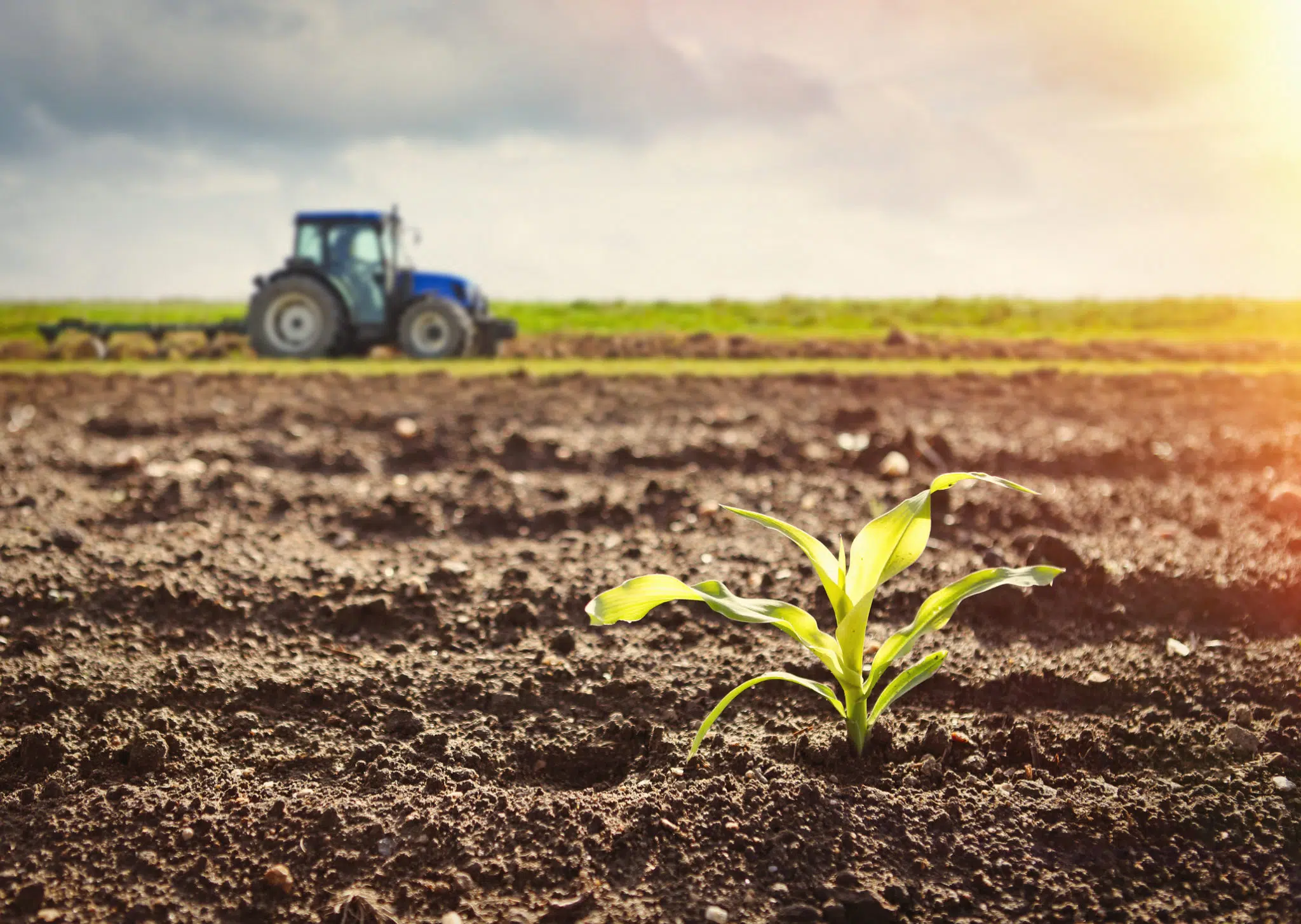 Agriculture
