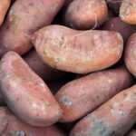 Sweet Potatoes