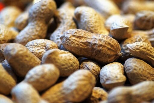 Groundnuts