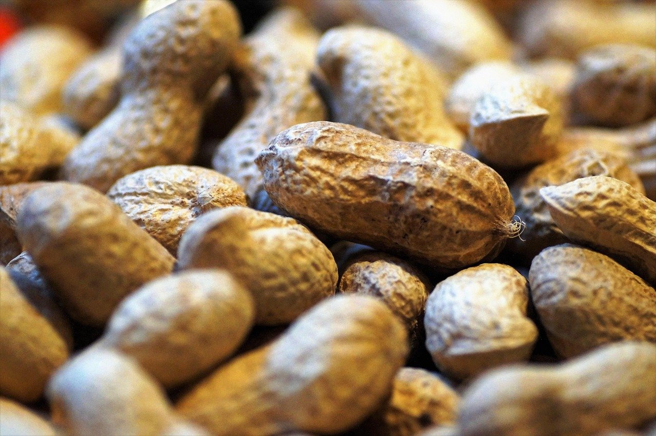 Groundnuts