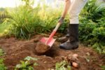 Microbienne des Sols