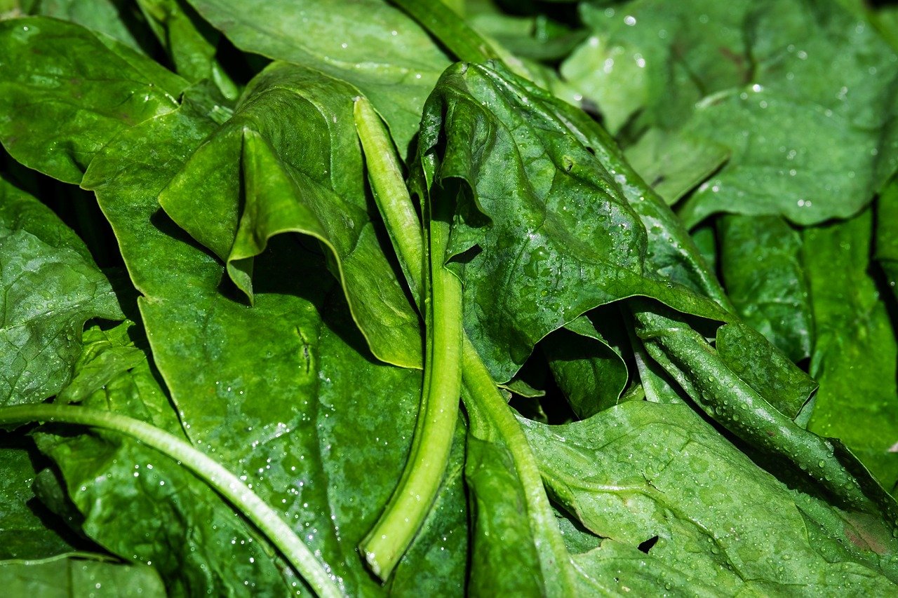 Épinard