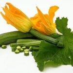 Courgette