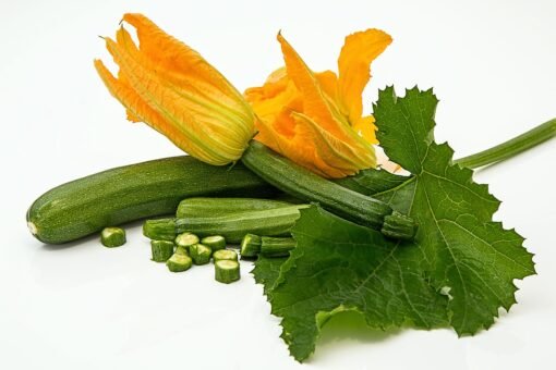 Courgette