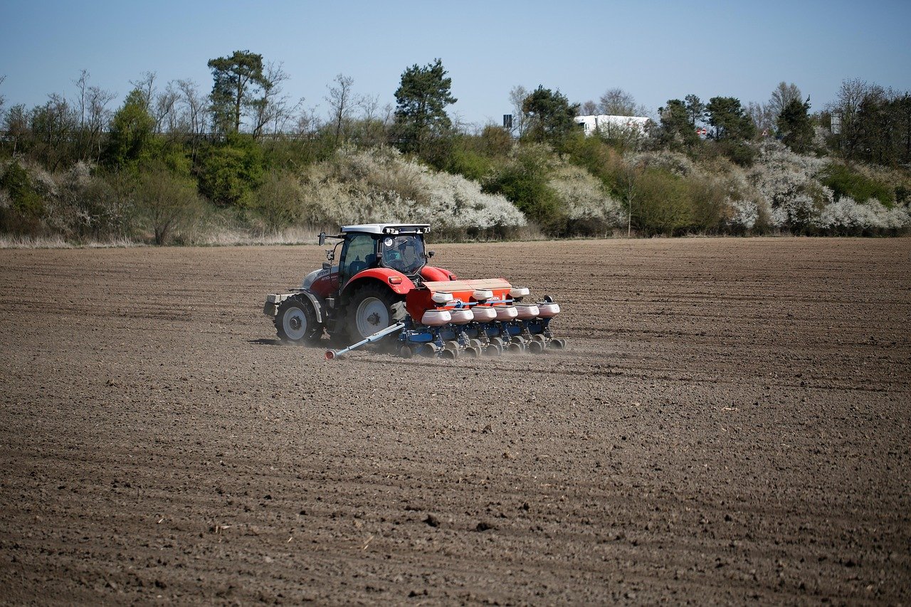 Sowing