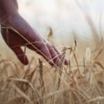 Agriculture