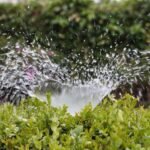 Irrigation