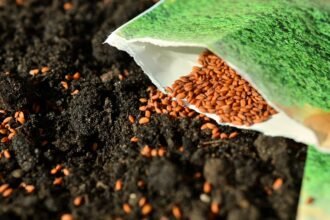 Seed Sowing Techniques for Different Types of Plants